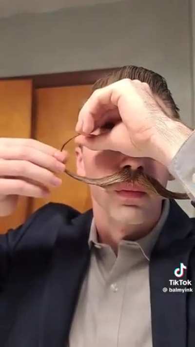 This glorious moustache