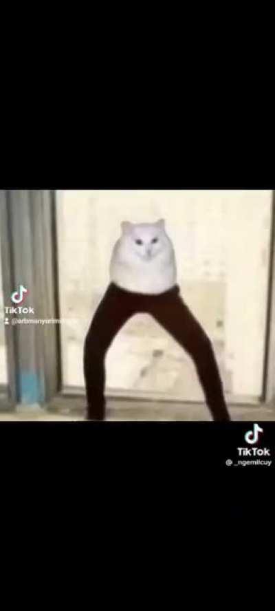 bruh ↑ para makita ni kuya kris