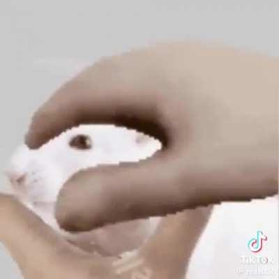 me when i see a bottom