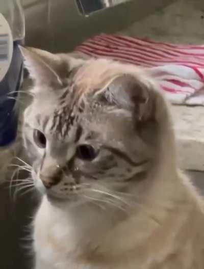 when I thought: what is my goal and what do I live for