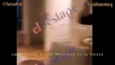 FIESTA (Rafabiola Culpá) ft. Tarico