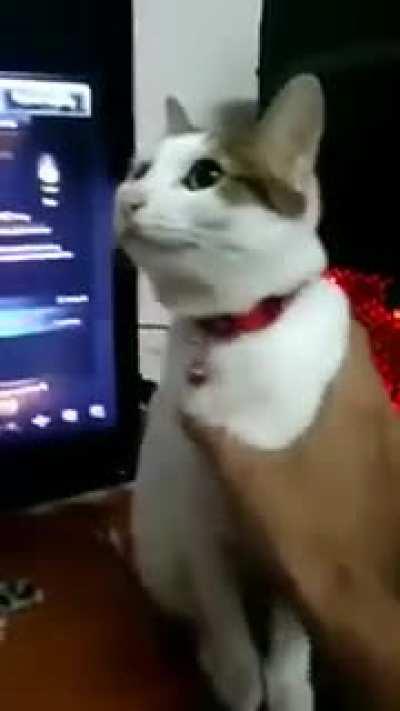 his internet Is a little slow...