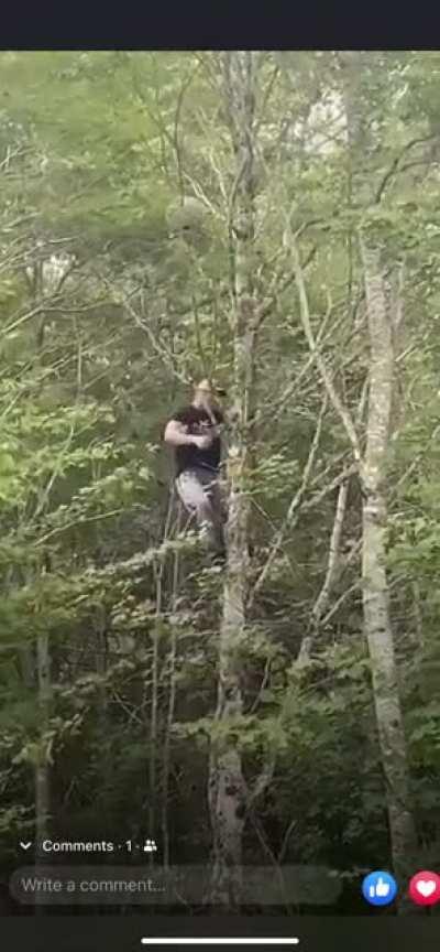 Trying to knock down a hornet’s nest with no protective gear