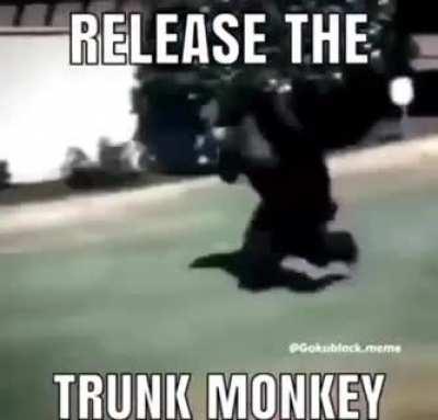 Joe would buy this if it was legal.