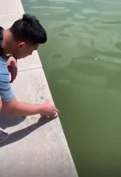 Be free little buddy