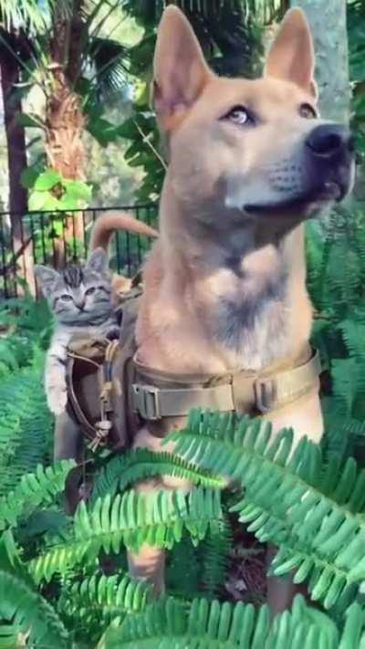 Ready for the next adventure