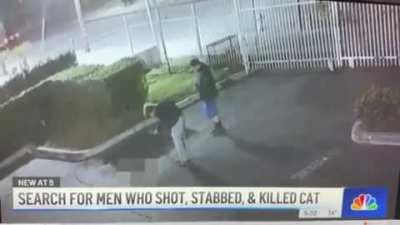 Help catch these cat killers Pomona CA