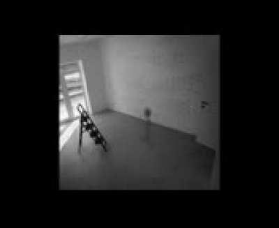 Grey Alien Teleports to Earth With Swagger, Asserts Dominance, Refuses to Elaborate and Leaves