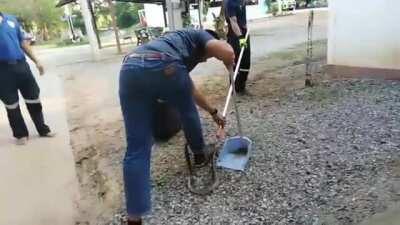 I don't think swinging the snake is gonna make it any less likely to bite you...