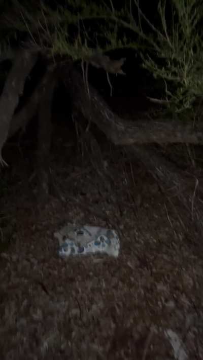 Getting late night head in the park