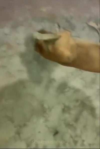 Definitely not enjoying it.