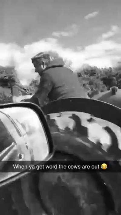 Someone’s an idiot....