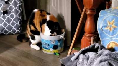 TubVision: The Next Step in the Evolution of Play