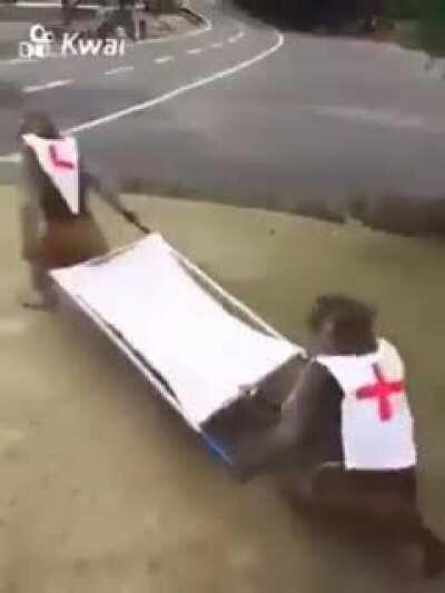 MDS, o muca está morto🥳🥳🥳🥳🥳🎉🎉🎉🎉🎉🎉🎊🎊🎊