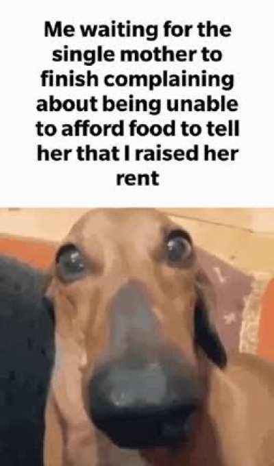 What a wonderful day to wake up as a landchad!