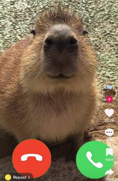 Would y’all pick up or nah?