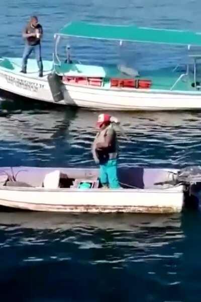 Você já abraçou uma ave hoje?