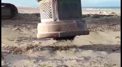 Removing nails from a beach bonfire site with a hydraulic scrap magnet