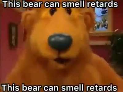 Bear.mp4
