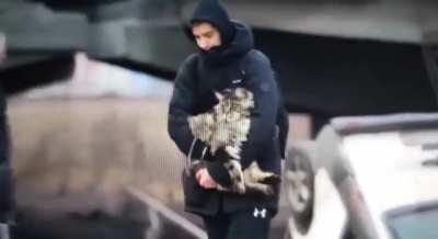 Obviously, the human cost is unimaginable. That goes without saying. But also, the animals.. the poor, confused, displaced little animals. So many inevitably lost, left behind, separated from owners or abandoned.