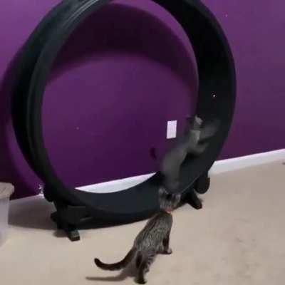 ....if they only knew...