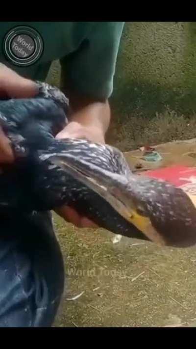 CIA agent removing old depleted fuel canister from drone.