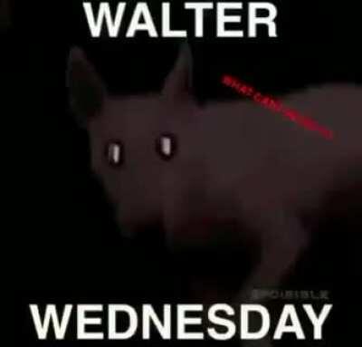 happy Walter Wednesday
