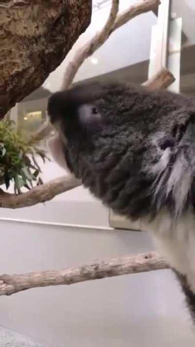 Видимо что-то случилось...