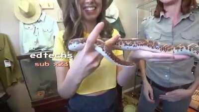 Intense Pokimane No Nut Challenge