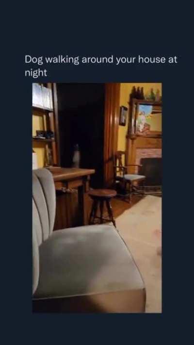 Good three legged doggo 💀