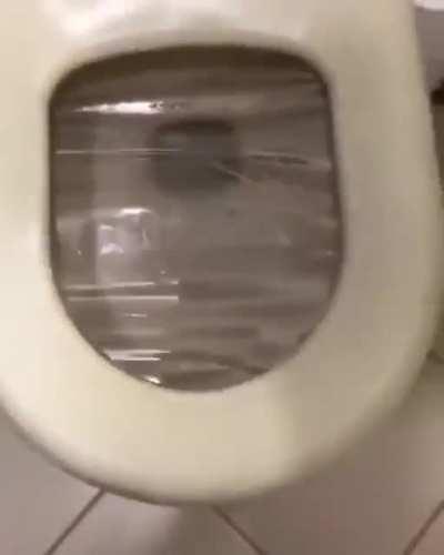 Never drop your phone in the toilet again with this handy solutino