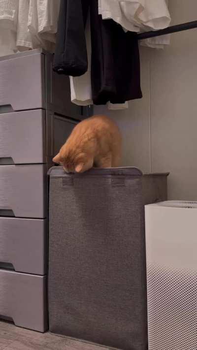 Consequences Of Our Actions