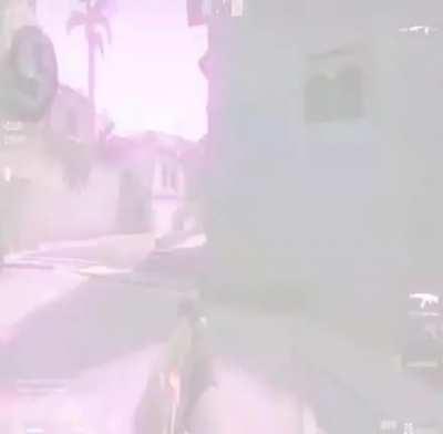 wholesome (creds to carpetedkitchn for vid)