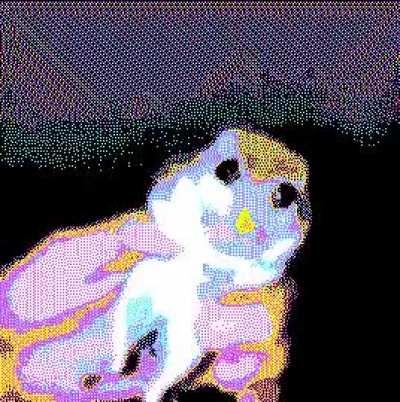 what the actual fuck is this thing holy fucking shit i cant believe this isreal what is this jesus christ someone call papa john we need the best holy hell holy moly oh my penis what the fuck