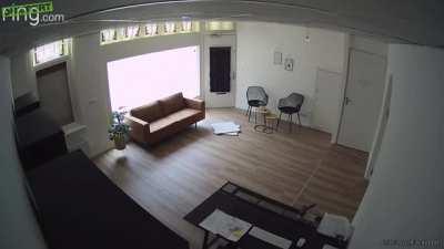 World's worst cat burglar