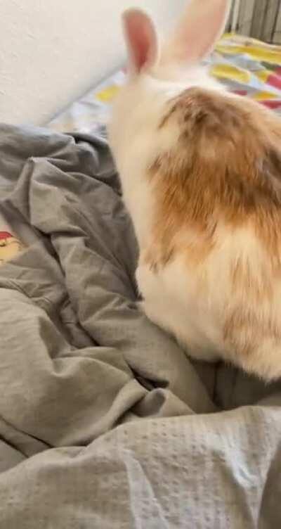 Patting down my sheets