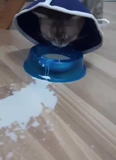 What tf is he doing??