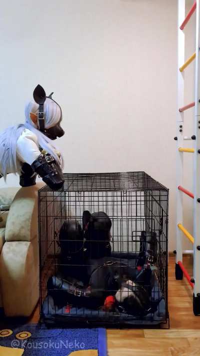 With a little magic my Master has got two pups, Frieren and me. But why am I the one locked in a cage while Frieren has fun with Master? I want that too! 😡