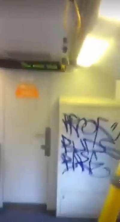 Caught doing graffiti in train