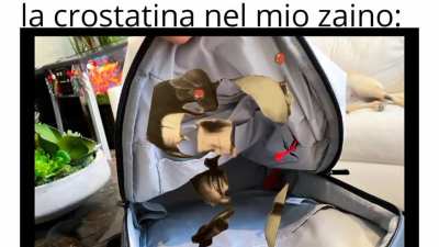 si può postare?