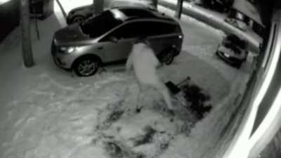 Neighbor really doesn’t like security cameras. How can you hate something that captures moments like this?