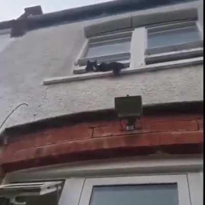 Creepy Cat, Bringer Of Screams, God Of Terror