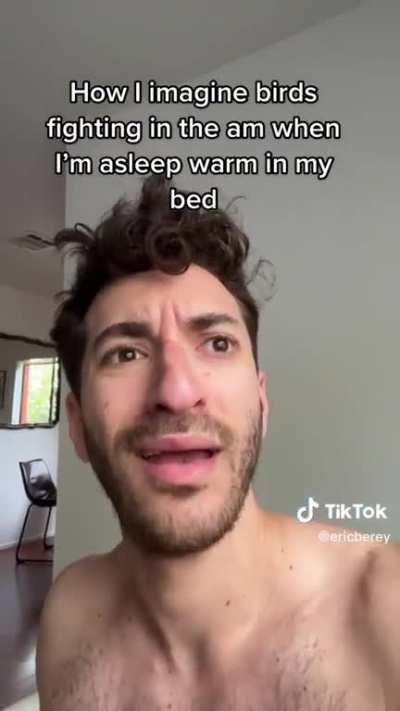 How the birds be arguing at 5am while you're trying to sleep