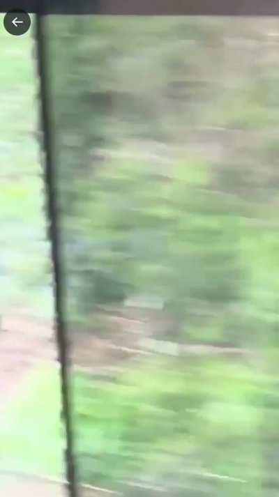 Knife attack on train to Victoria station 