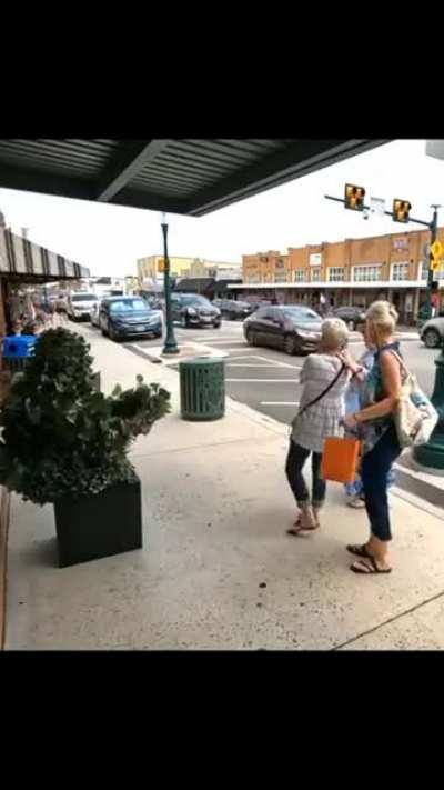 Plant man, espionage king