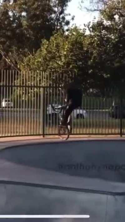 Straight to hospital flip.