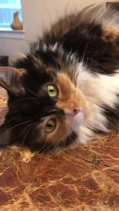 Look at me! Aren’t I cute?