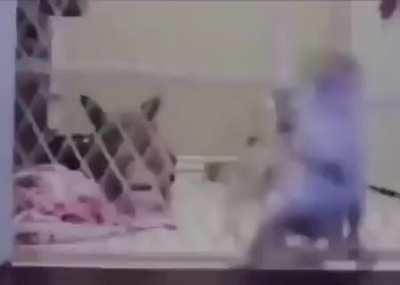 Tadinho ajuda ele D: