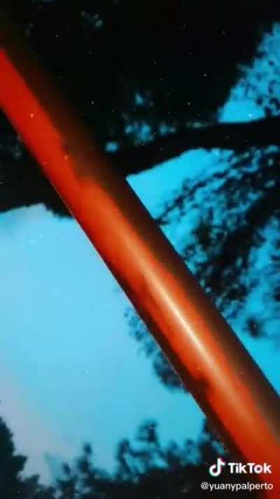 Voy a voular com un 🐒