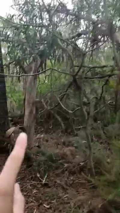 220km hike (day 3) in Portugal!